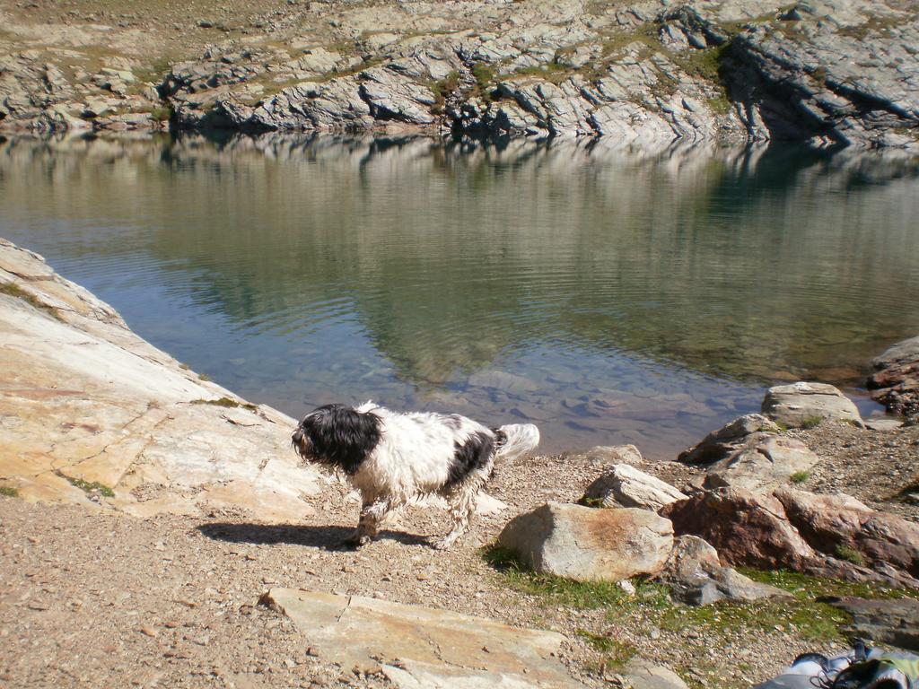 Haus Mattle Lägenhet Pettneu am Arlberg Rum bild